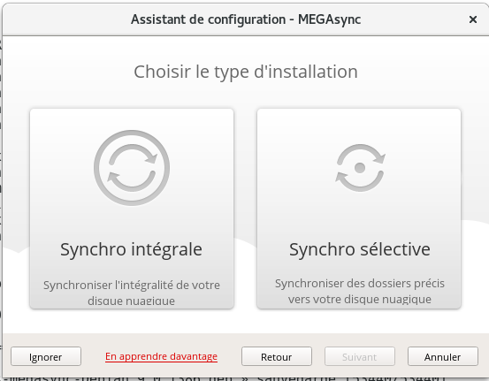 megasync-choix-configuration-4.png megasync-choix-configuration-4.png
