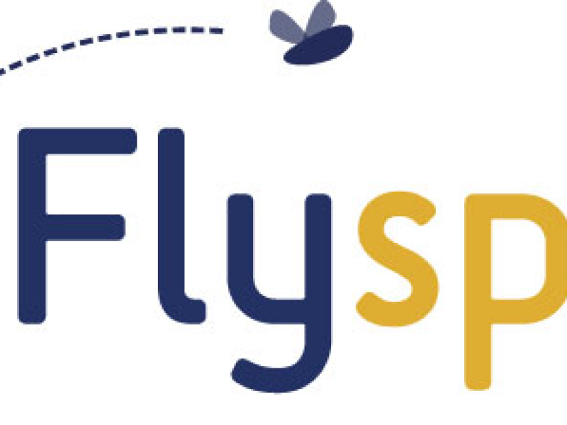 flyspray.png