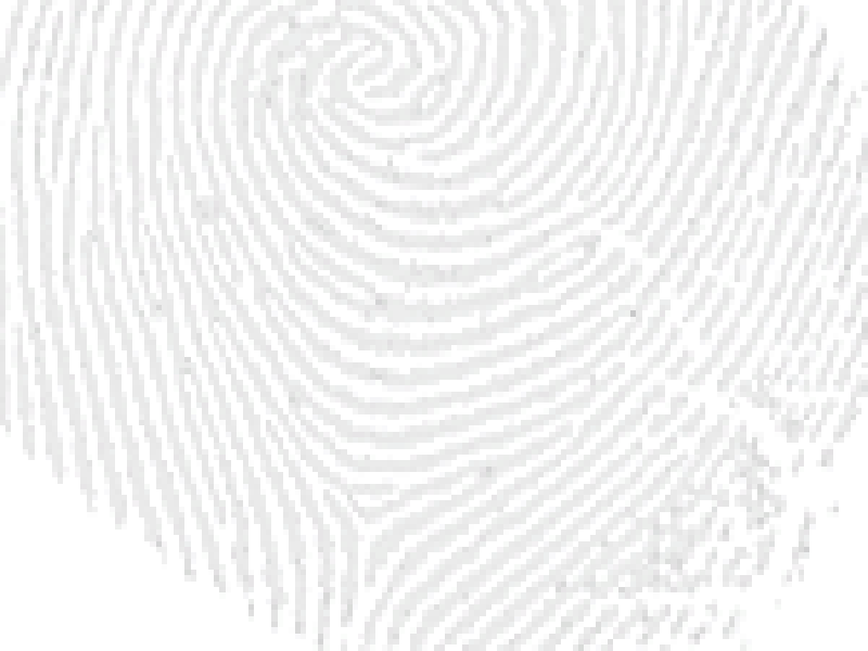 spybot.gif