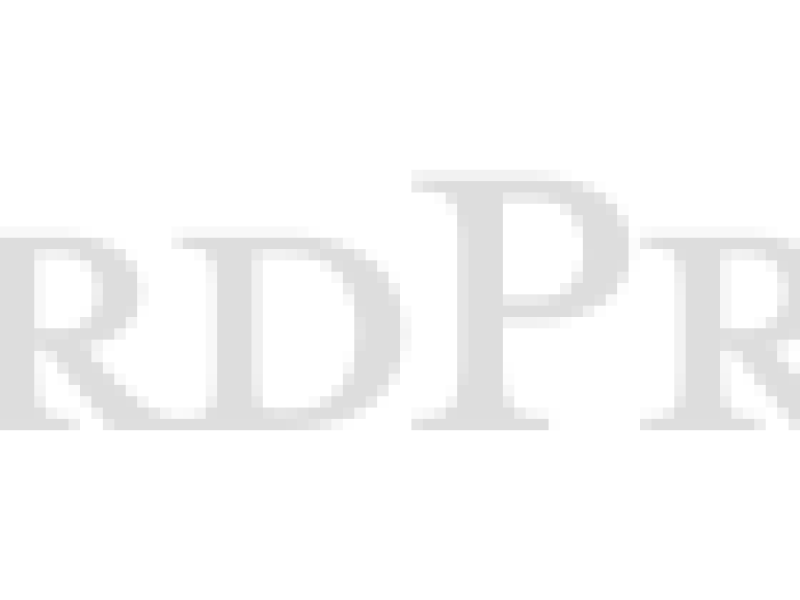 wordpress.png